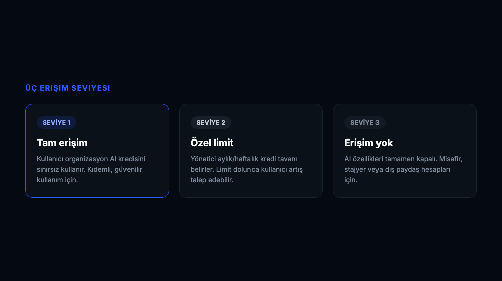 Tam erişim, özel limit ve erişim yok seviyelerinin açıklamaları