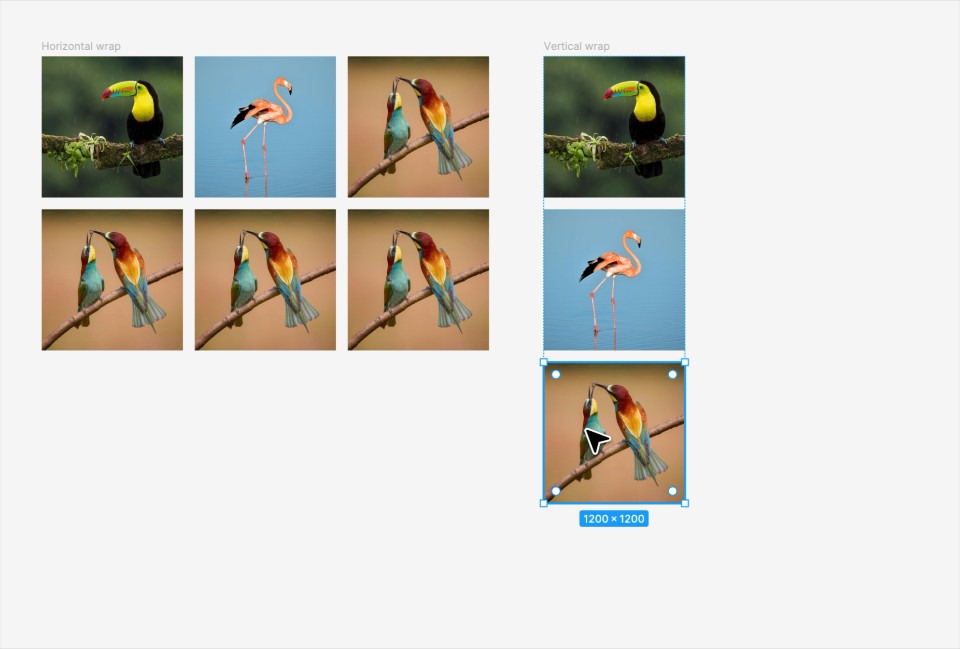 Figma canvasında iki auto layout çerçevesi: solda altı kuş fotoğrafı yatay sarmayla iki satıra dizilmiş, sağda üç fotoğraf dikey akışta tek sütunda, üçüncüsü seçili