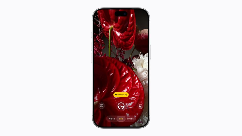 iPhone ekranında Kamera uygulamasının Siri modu bir çiçeğe doğrultulmuş halde